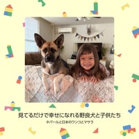 【冊子版：5000円】見てるだけで幸せになれる野良犬と子供たち💖