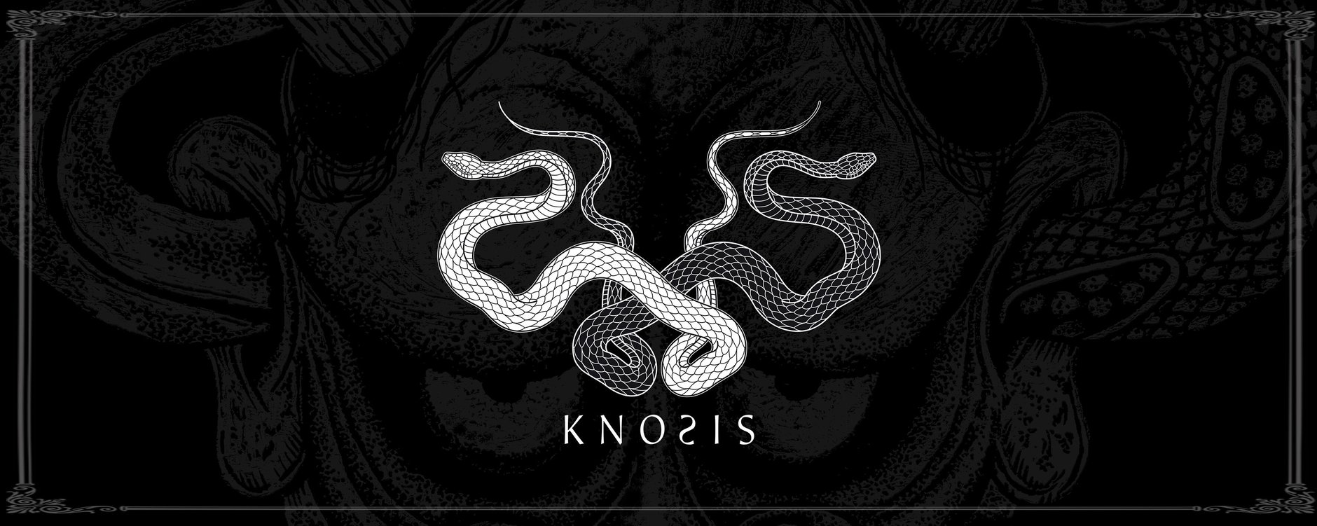 NEWS | Knosis