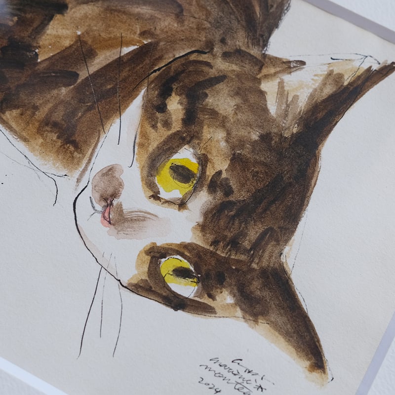 保護猫ドローイング作品「Cat color drawing 2024.jan.23(茶ハチワレ