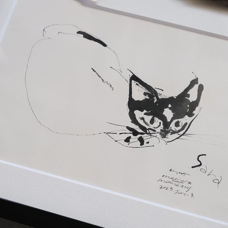 保護猫ドローイング作品「Cat drawing　2023.June.3(Sara)」【Tomohiro Noda（marini＊monteany）】