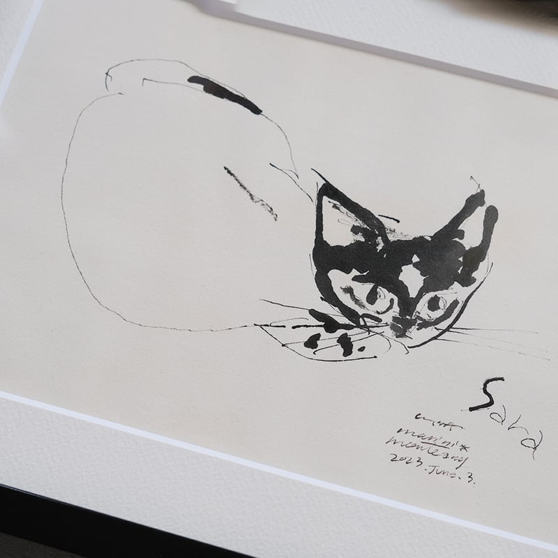 保護猫ドローイング作品「Cat drawing 2023.June.3(Sara)」【Tomo