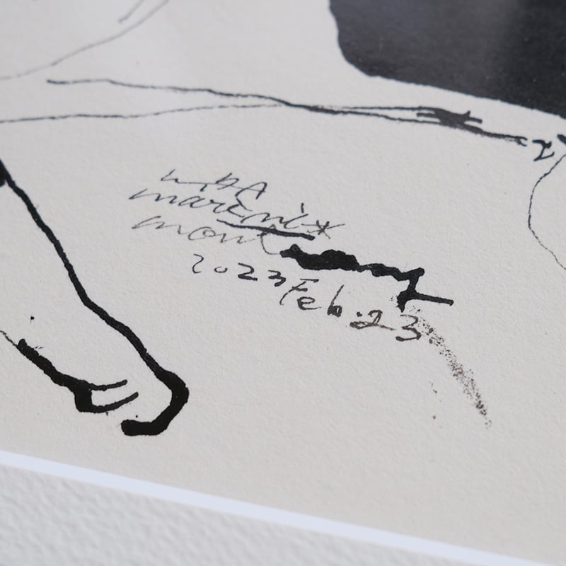 保護猫ドローイング作品「Cat drawing 2023.Fab.23(黒白 横