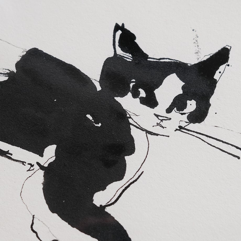 保護猫ドローイング作品「Cat drawing 2023.Fab.23(黒白 横ポーズ)」【T