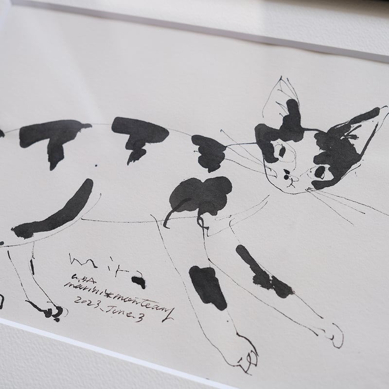 保護猫ドローイング作品「Cat drawing 2023.June.3(mira)」【Tomo