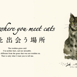 Place where you meet cats~猫と出会う場所~