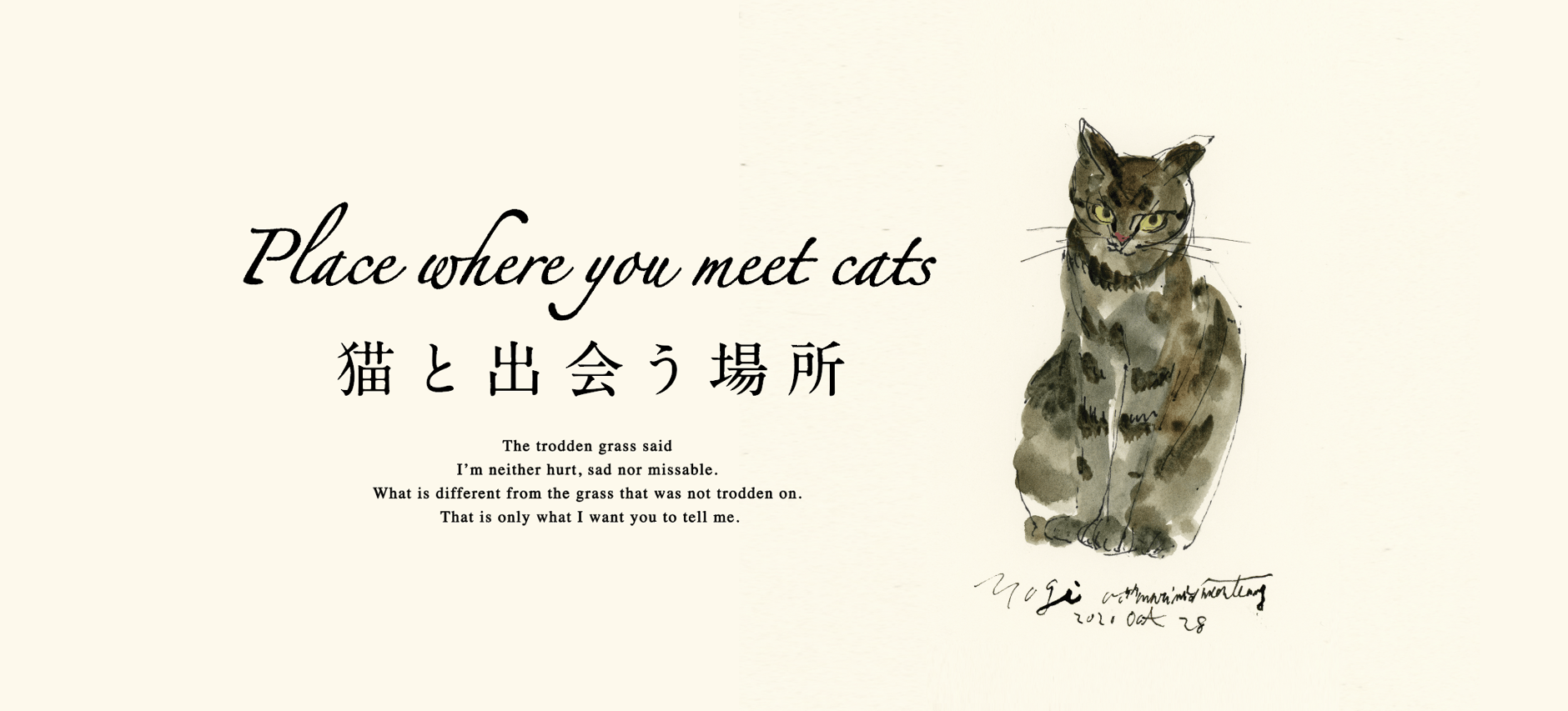Place where you meet cats～猫と出会う場所～