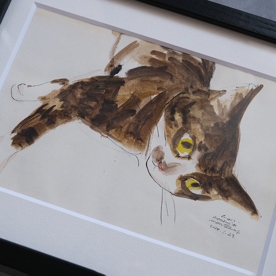 保護猫ドローイング作品「Cat color drawing 2024.jan.23(茶ハチワレ