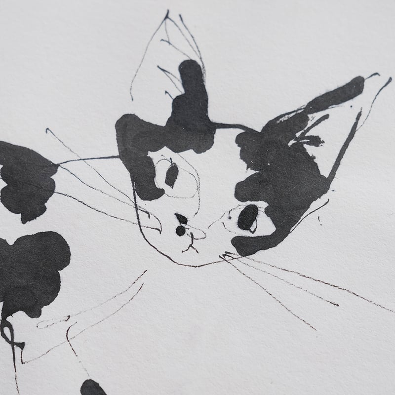 保護猫ドローイング作品「Cat drawing 2023.June.3(mira)」【Tomo