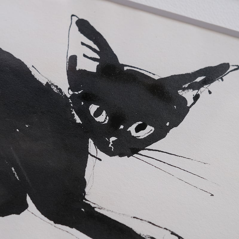 保護猫ドローイング作品「Cat drawing 2023.June.3(kira)」【Tomo