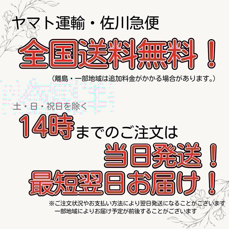 リバイブWiFi】本体 1ギガセット ◎チャージ型モバイルルーター