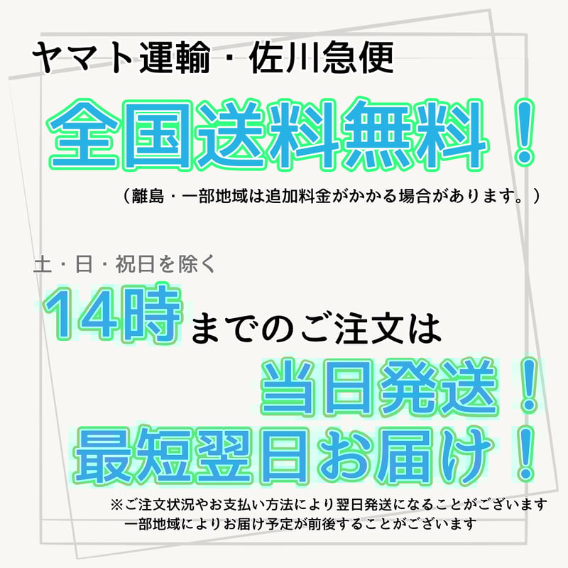 リバイブWiFiワールド】本体 100ギガセット ◎チャージ型