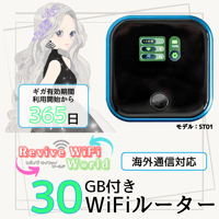 ☆美品値下 モディファイした唯一無二 新機能満載 ChattingBird ST ☆