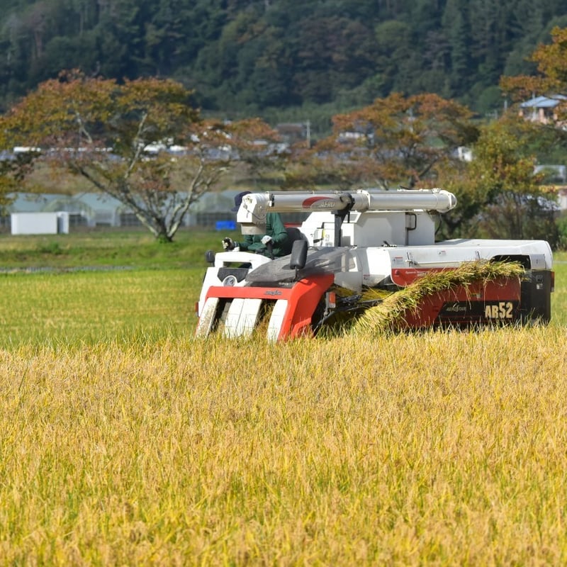 令和7年産】ゆうだい21 農薬・化学肥料不使用 長野県産 | ときわ農園