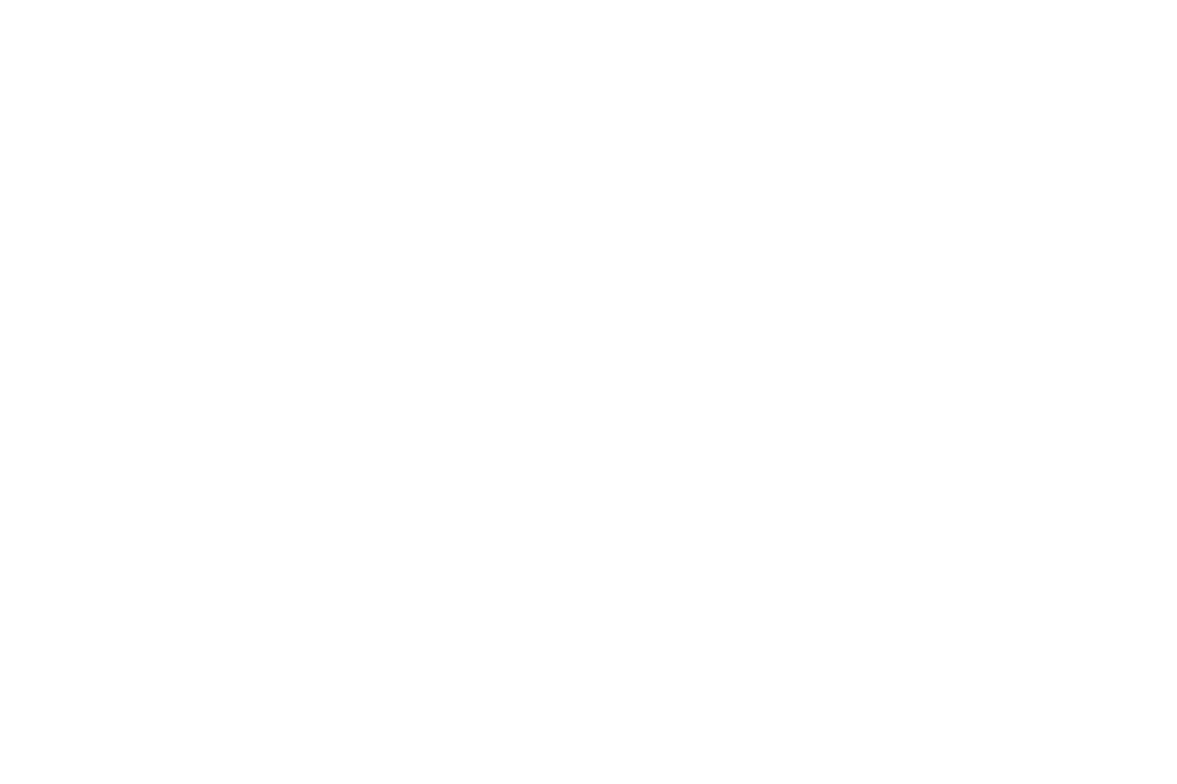 fete