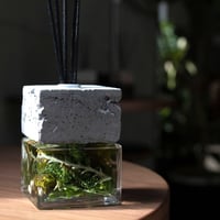 reed【grey×greenish】