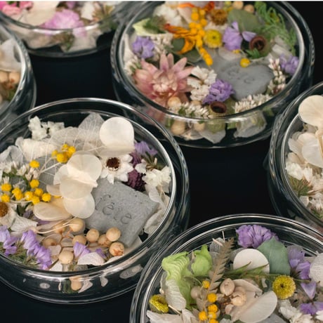 petal【whitish】