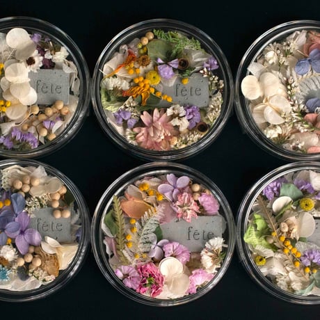petal【whitish】