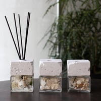 reed【white×whitish】
