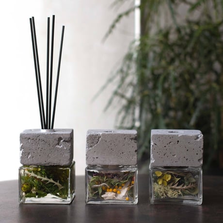reed【grey×greenish】