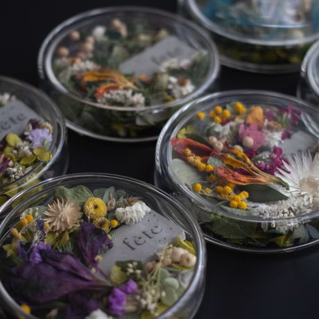 petal【greenish】
