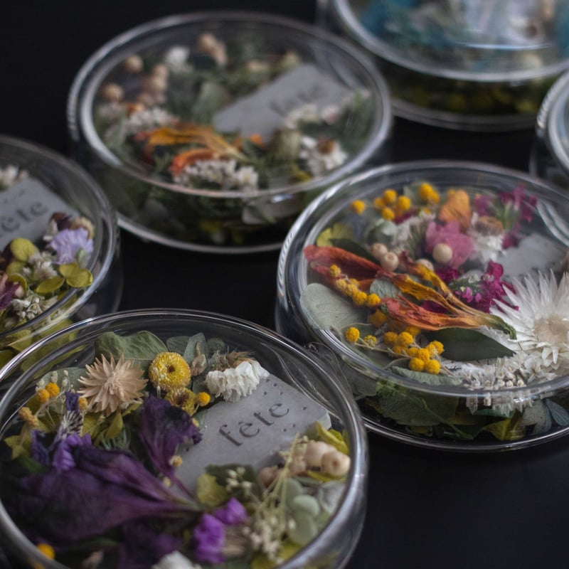 petal【greenish】 | fete petal【greenish】 | fete