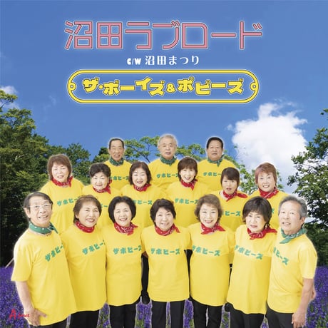 沼田ラブロード/沼田まつり