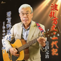 青山完治「波乱万丈・一代記/芳賀野慕情～ああロマンの碑～」