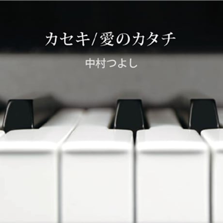 中村つよし『カセキ/愛のカタチ』