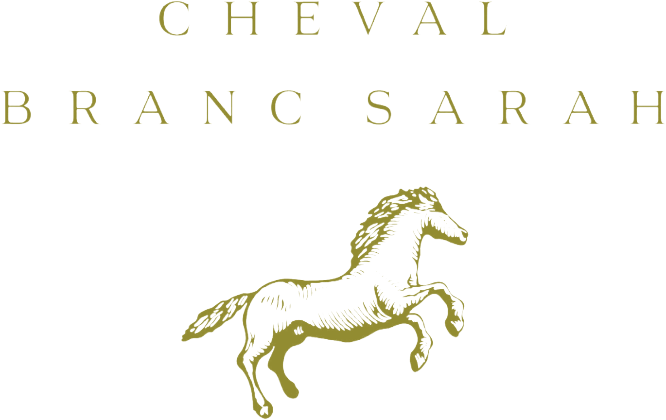 Cheval  Blanc Sarah