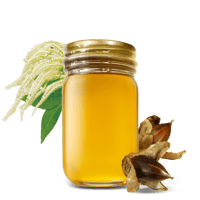 椎の木の花のはちみつ　90g　長崎県産