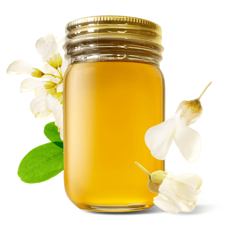 はちみつ購入 アルゼンチン産はちみつ（1kg）送料無料｜熊手のはちみつ公式通販