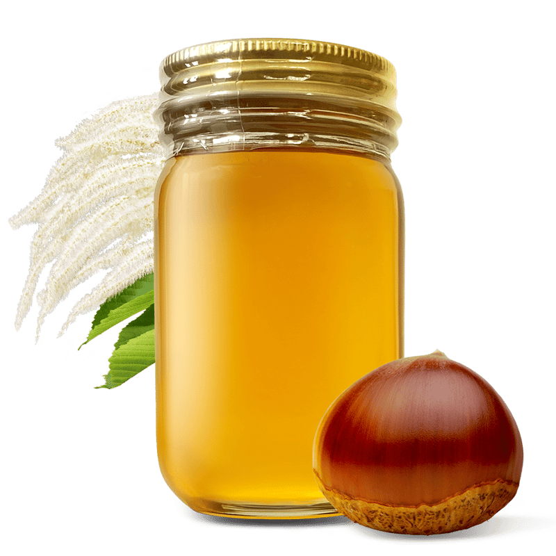 栗の花はちみつ 180g 長崎県産 | 国産はちみつHoneyGold公式 栗の花はちみつ 180g 長崎県産 | 国産はちみつHoneyGold公式