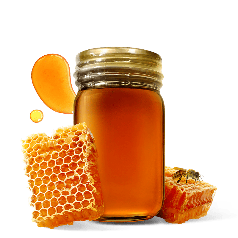 日本蜜蜂ハチミツ 日本ミツバチはちみつ ZENBEE No.088 100g: せとうちエリア