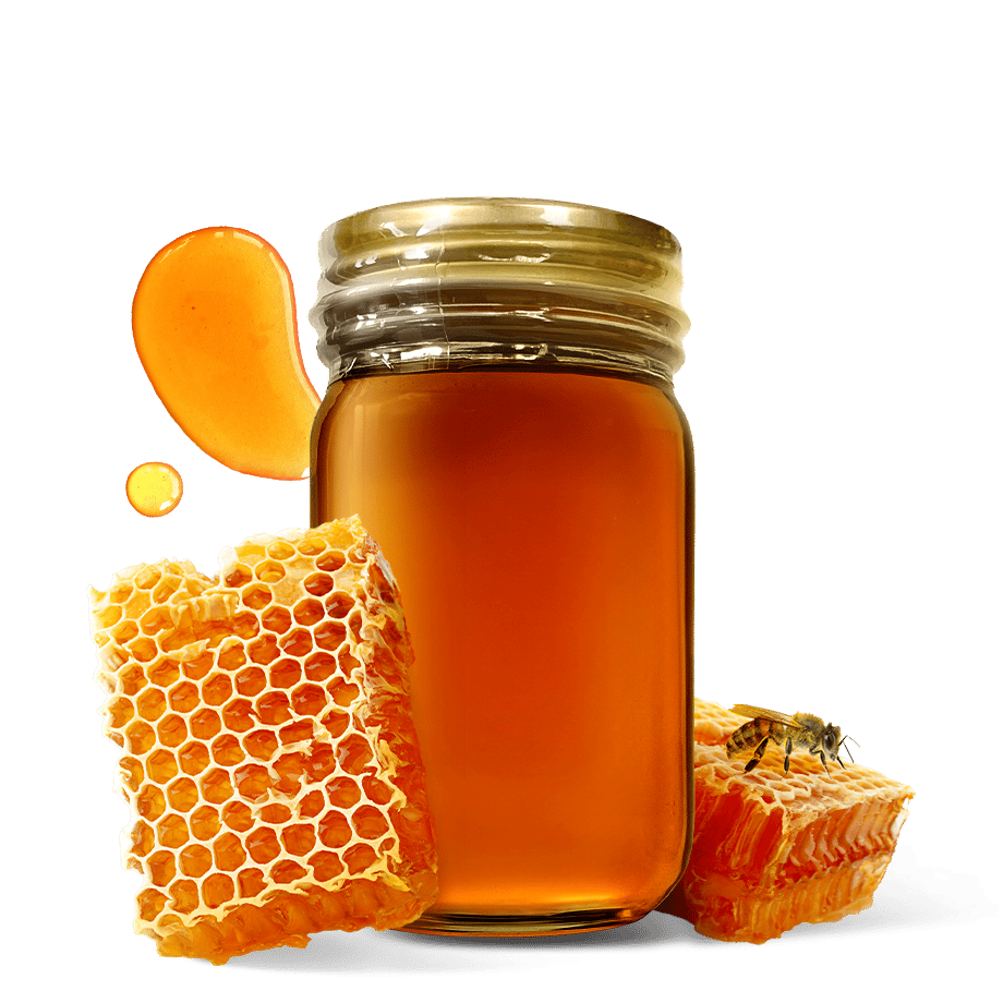 にほんみつばち 90g 山口県産 | 国産はちみつHoneyGold公式オンライン