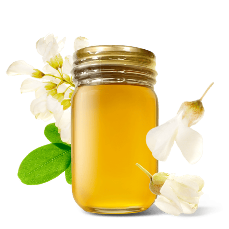 国産はちみつHoneyGold公式オンラインストア