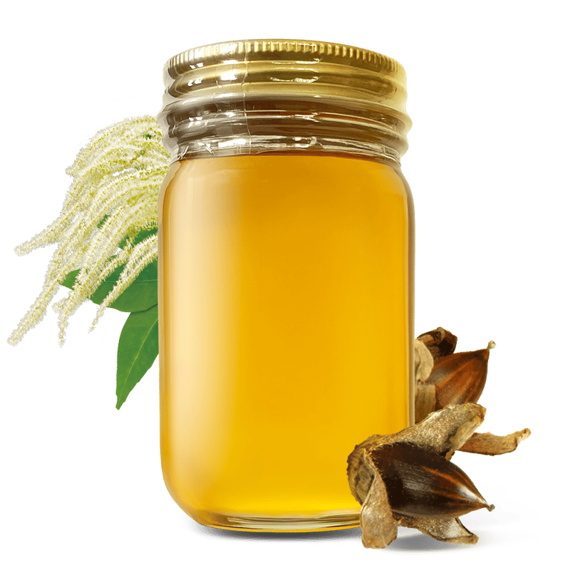 椎の木の花のはちみつ 180g 長崎県産 | 国産はちみつHoneyGold公式