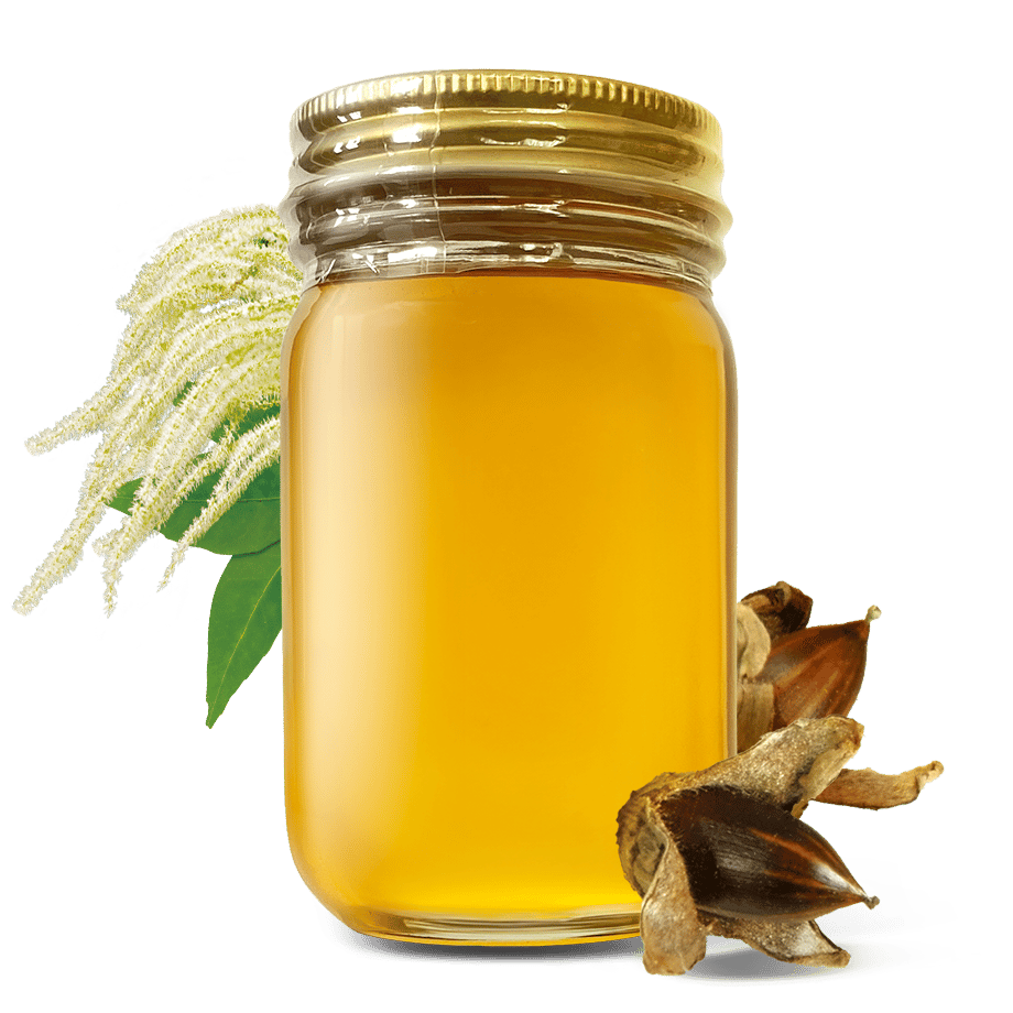 椎の木の花のはちみつ 180g 長崎県産 | 国産はちみつHoneyGold公式