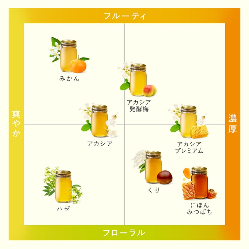 日本みつばち1800g 日本みつばち1800g