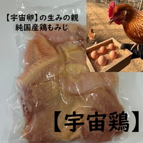 ITEM | ハイブリッドファーム