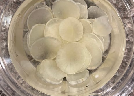 【自然栽培ヤーコン】冬限定・奇跡の野菜！千葉県産スーパーフード