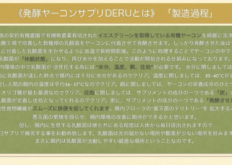 腸内環境改善ヤーコン粉末DERU