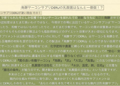 腸内環境改善ヤーコン粉末DERU