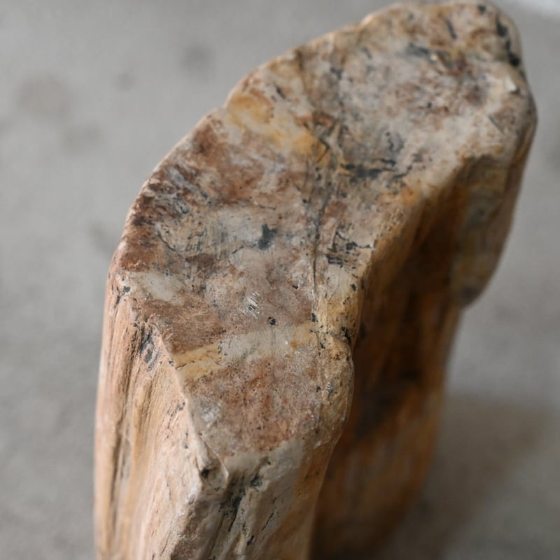 珪化木 | polyrhythm