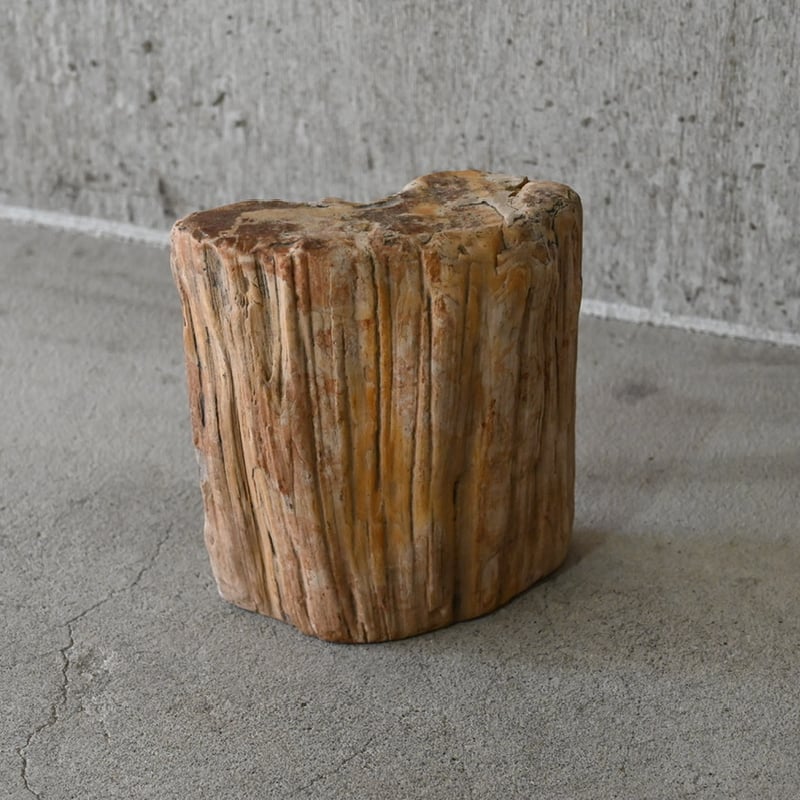 珪化木 | polyrhythm