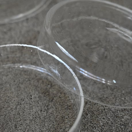シャーレ(2pieces)