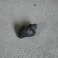 つぶ貝のペーパウェイト