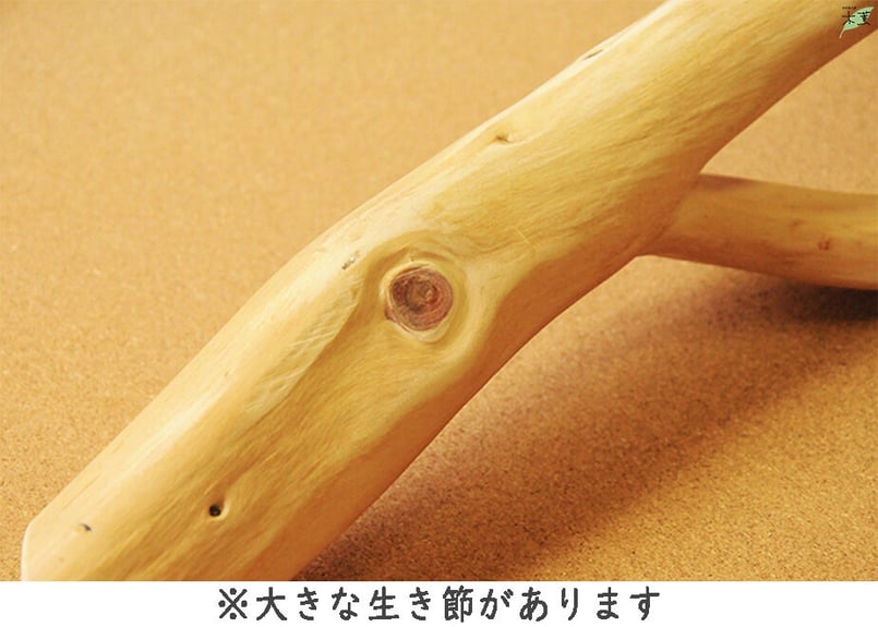 国産木の枝 無塗装 1本 | もっくんオンラインショップ