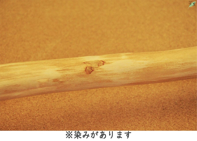 国産木の枝 無塗装 1本 | もっくんオンラインショップ