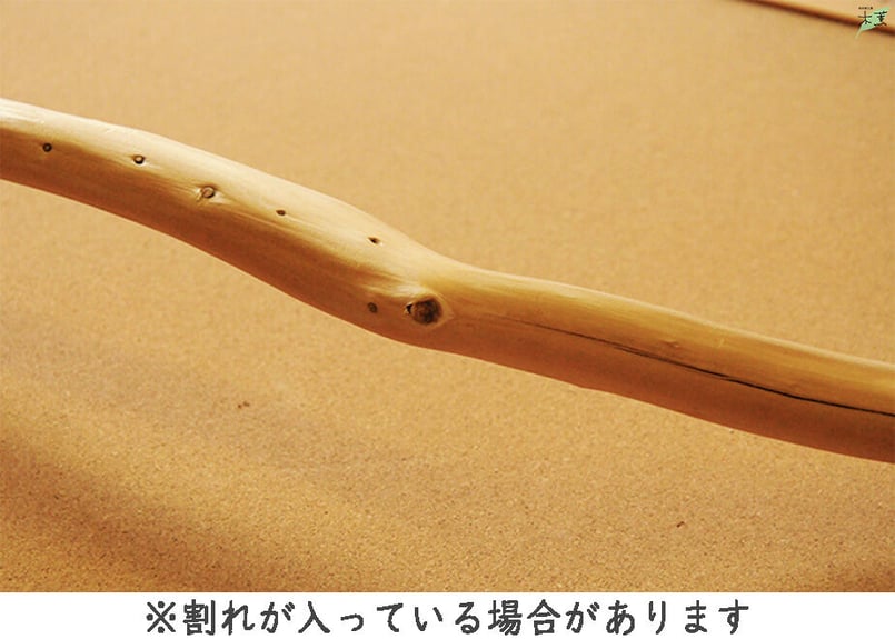 国産木の枝 無塗装 1本 | もっくんオンラインショップ