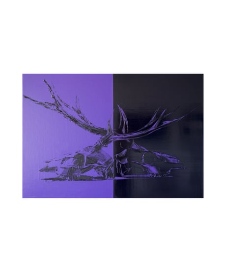 Suga Yushi / 菅雄嗣[Liminal paint -dear born-]